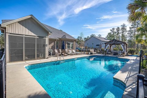 A home in Chapin