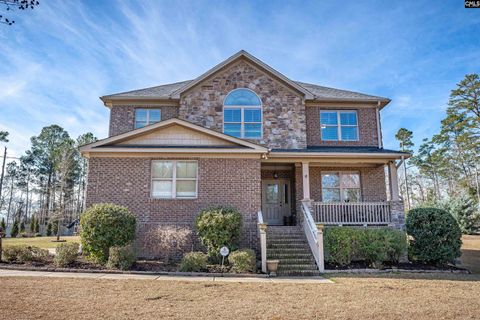 A home in Chapin