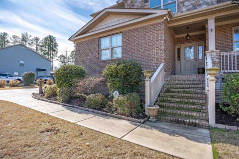 A home in Chapin