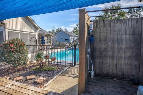 A home in Chapin