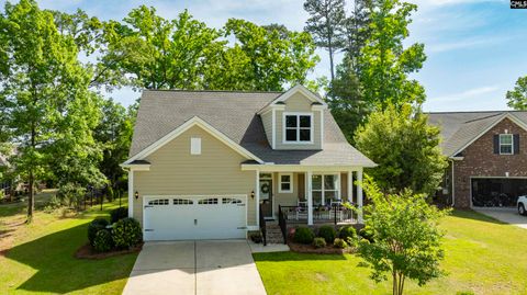 205 Quiet Cove Court Chapin Sc 29036