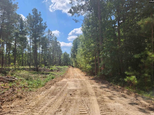 HOKE RD, HEATH SPRINGS, SC 29058 - Image 86957031ecd6cdccfeef7021a1fc295e/3787929361