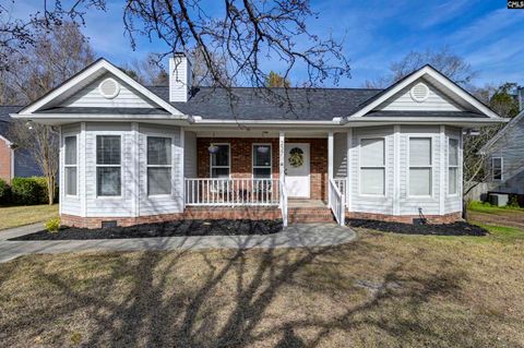 Photo of 237 Mossborough Drive, Lexington, SC 29073 (MLS # 624907)