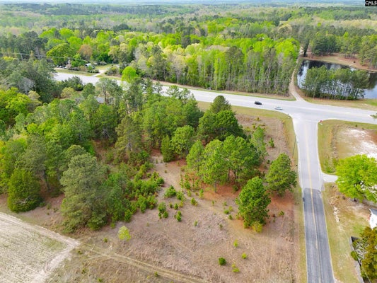 HALLMAN WAGON RD, LEESVILLE, SC 29070 - Image 86a5e9ff4cbad1fbdda7c2d24b13e693/1745426570
