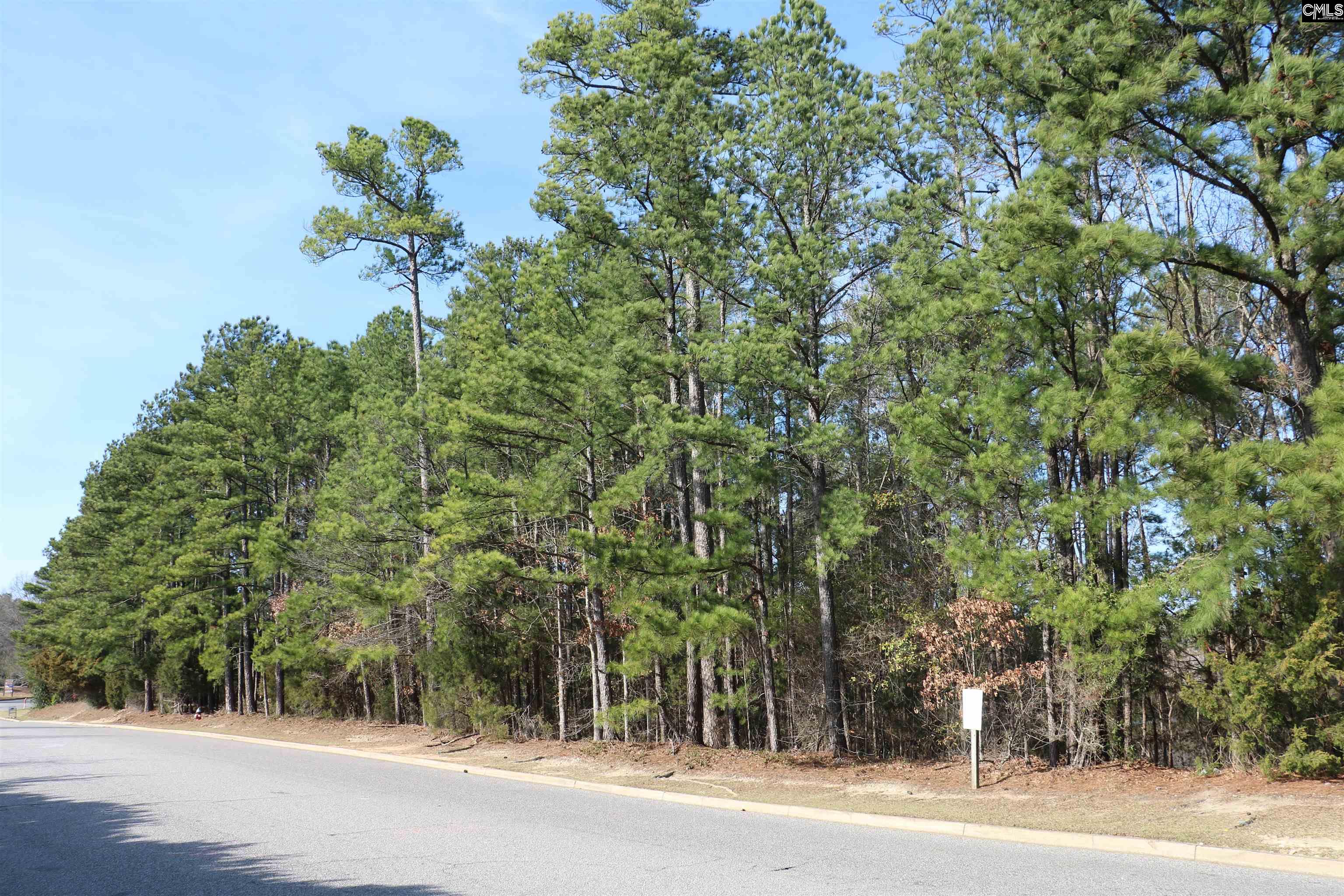 0 Woodcross Drive - Photo 3