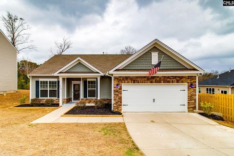 Photo of 314 Blue Lagoon Lane, Lexington, SC 29072 (MLS # 627307)