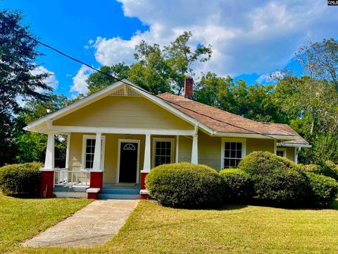 Photo of 1315 Pearl Street, Newberry, SC 29108 (MLS # 618647)