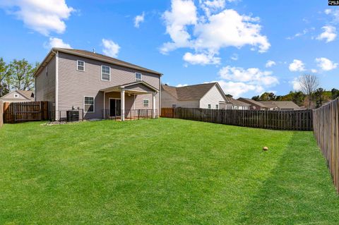 A home in Chapin