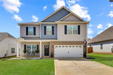 A home in Chapin