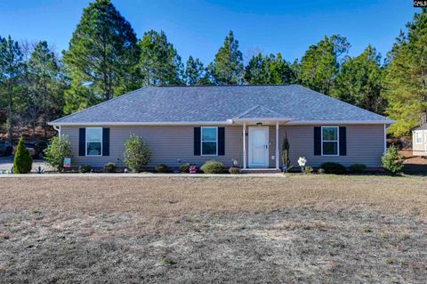 Photo of 672 Old Orangeburg Road, Lexington, SC 29073 (MLS # 624050)