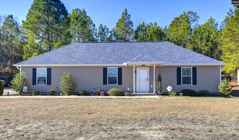 Photo of 672 Old Orangeburg Road, Lexington, SC 29073 (MLS # 624050)