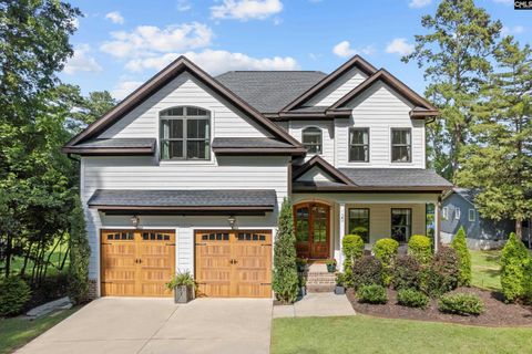 A home in Chapin