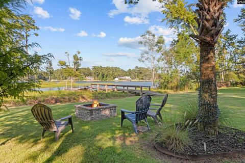 A home in Chapin