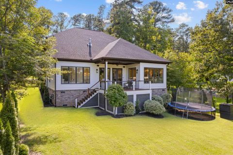 A home in Chapin