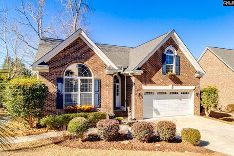 Photo of 192 Palm Street, Chapin, SC 29036 (MLS # 625399)