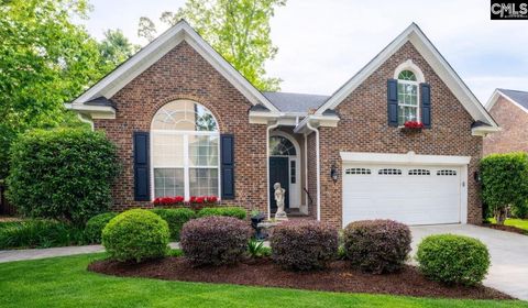Photo of 192 Palm Street, Chapin, SC 29036 (MLS # 625399)