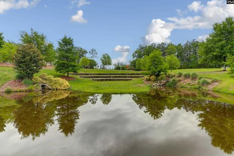 A home in Chapin