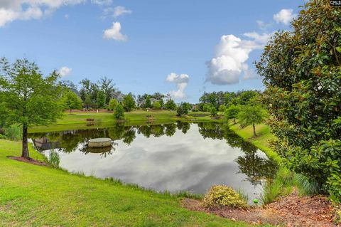 A home in Chapin