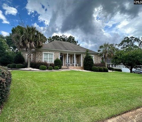 Photo of 216 Pointe Overlook Drive, Chapin, SC 29036 (MLS # 635379)