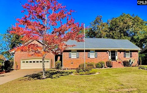 Photo of 218 Saint Albans Road, Irmo, SC 29063 (MLS # 620845)