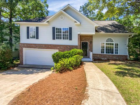 7 Beech Branch Court Irmo SC 29063