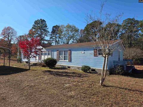 169 Tosha Street Gaston SC 29053