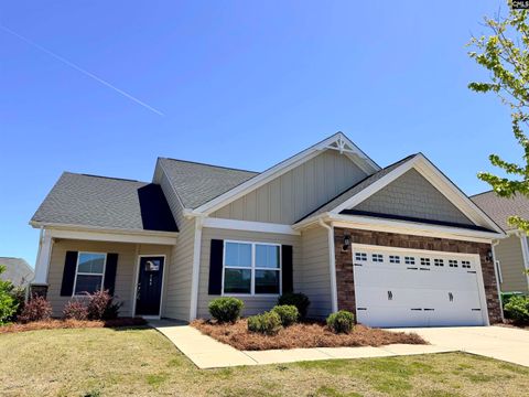 Photo of 764 Ruskin Drive, Chapin, SC 29036 (MLS # 634366)