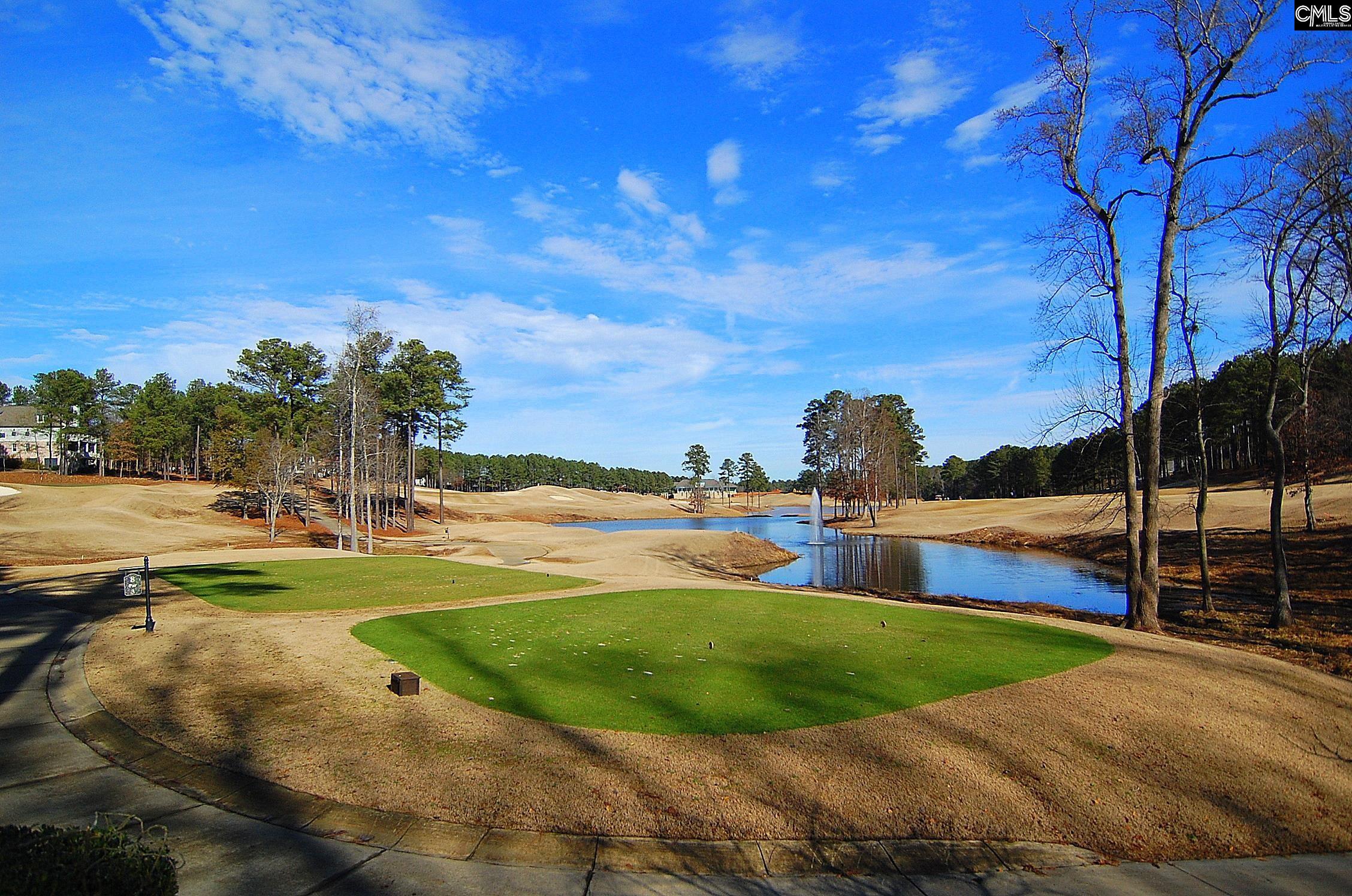 Blythewood, South Carolina 29016, United States, ,Land,Pending,59873