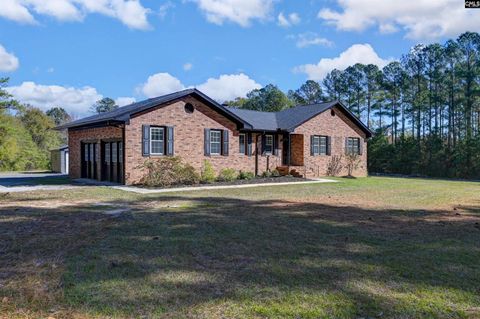 169 Lake Tide Drive Chapin SC 29036