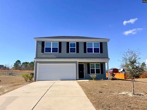 Photo of 444 Van Buren Court, Gaston, SC 29053 (MLS # 627530)