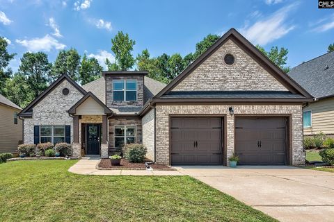 Property photo of 450 Lever Hill Road, Chapin, SC 29036