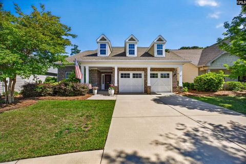 Photo of 745 Xander Way, Chapin, SC 29036 (MLS # 633552)