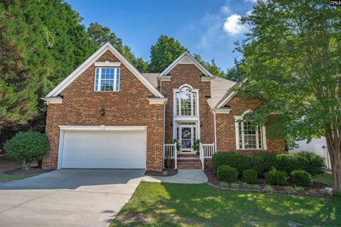 Property photo of 412 Mana Vista Court, Lexington, SC 29072