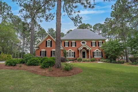 Photo of 95 Oak Brook Drive, Columbia, SC 29223 (MLS # 636745)