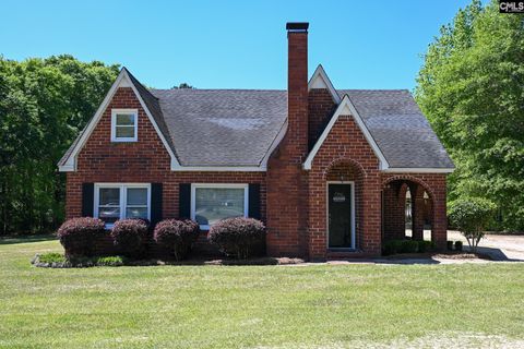 Photo of 1331 Priceville Road, Gilbert, SC 29054 (MLS # 631386)