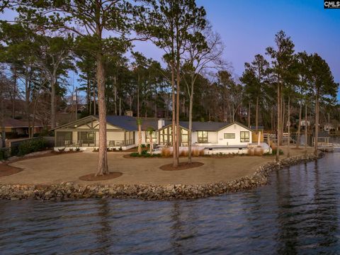 A home in Chapin