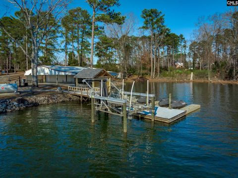 A home in Chapin