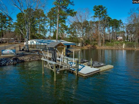 A home in Chapin