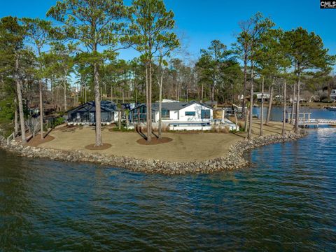 A home in Chapin