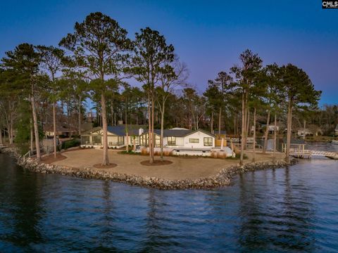 A home in Chapin