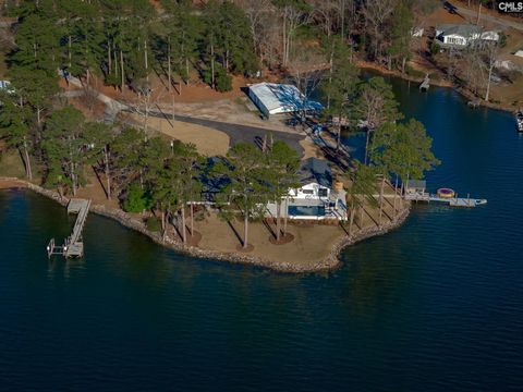 A home in Chapin