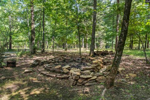 A home in Chapin