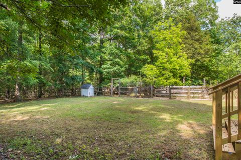 A home in Chapin