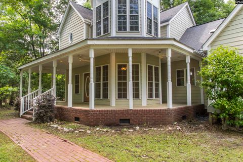 A home in Chapin