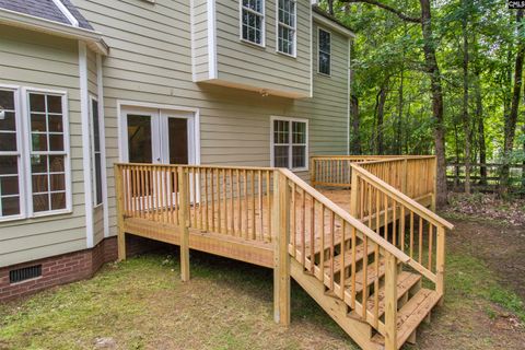 A home in Chapin