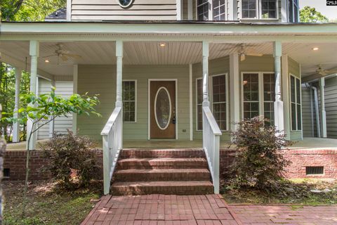 A home in Chapin