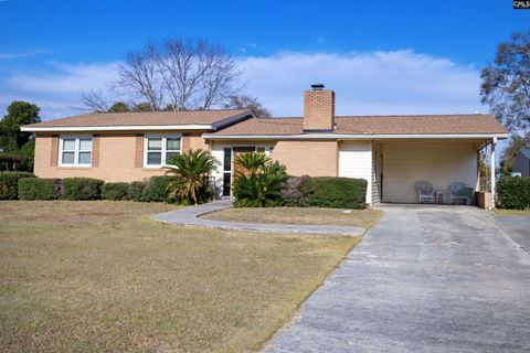 Photo of 345 Rawls Drive, Leesville, SC 29070 (MLS # 622587)