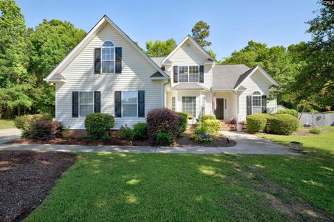 Photo of 14 Sagefire Court, Irmo, SC 29063 (MLS # 632404)