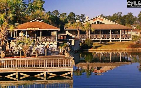 A home in Chapin