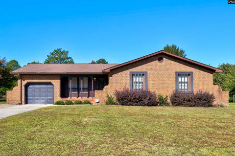 Photo of 513 Green Springs Drive, Columbia, SC 29223 (MLS # 620263)